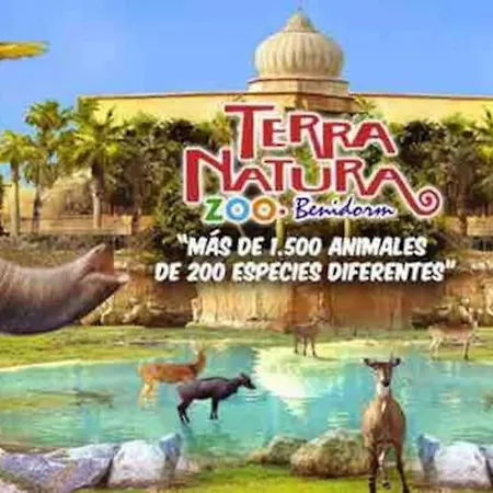 By The Beach, Cala De Benidorm