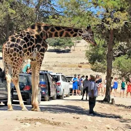 By The Beach, Cala De Benidorm Apartman